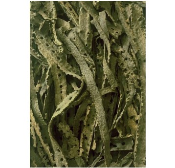 raw green propolis, 1 kg